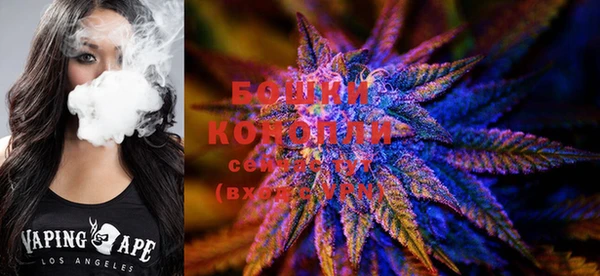 каннабис Гатчина