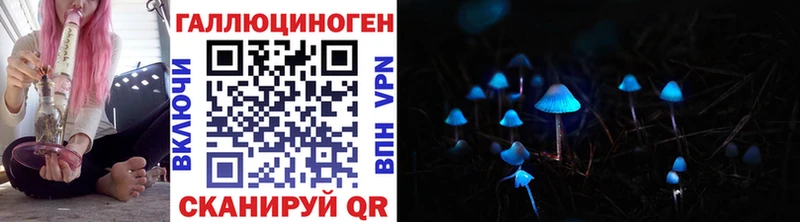 где купить наркоту  Ленинск  мега как войти  Псилоцибиновые грибы мицелий 